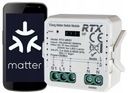 RTX MODULE CONTROLLER RELAY 1 CH. MATTER WIFI HOMEKIT GOOGLE HOME ASSIS