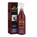 Champ-Richer leštiaci sprej 250ml