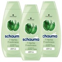 Schauma šampón na vlasy 7 bylín 400 ml x 3