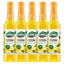 Łowicz vitamín C citrónový ovocný sirup 5x 400ml