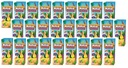 MINI MULTIFRUIT NÁPOJ 200ML X 27KS