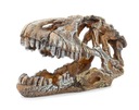 Happet U714 dekorácia do akvária dinosaurus lebka 17c