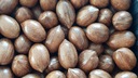 Pekanové orechy v škrupine 1 kg