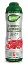 Teisseire sirup 600 ml Maliny a brusnice bez cukru