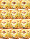 LIPTON čaj Broskyňa Mango pyramídy x12