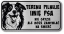 Border Collie Dog Pozornosť Sign