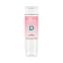 DERMIKA Clean & More regulačné tonikum 200ml