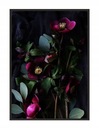 OBRAZOVÝ PLAGÁT V RÁME 53x73 cm Kvety P1525