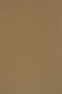 Kraft EKO PLUS ekologický papier 340g hnedý 100A4