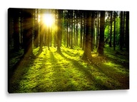LED OBRAZ 100x70 - podsvietený - SUNNY GLOW LED OBRAZ 100x70 - podsvietený - SUNNY GLOW