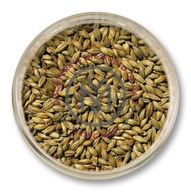 Red Active Viking Malt (Strzegom) 5kg zr Red Active Viking Malt (Strzegom) 5kg zr