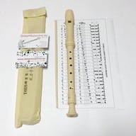 Školská sopránová zobcová flauta DHS - plastová