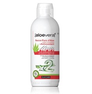 Antioxidačná šťava z aloe 1000 ml koncentrovaná Antioxidačná šťava z aloe 1000 ml koncentrovaná