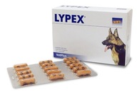 Lypex pankreatitída psov / mačiek 60 kapsúl