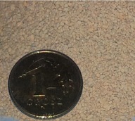 Rozsievková zemina, diatomit 20kg / 0,3 - 0,7 mm