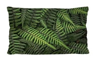 Vankúš s vložkou BERTONI 30x50 FERNS