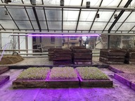 Svietidlo na pestovanie rastlín GROW LED 22W SILA A RAST Svietidlo na pestovanie rastlín GROW LED 22W SILA A RAST