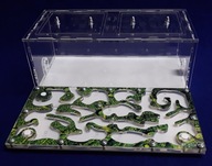 Veľké Formicarium, UNIVERZÁLNE! Štartovací balíček ! Veľké Formicarium, UNIVERZÁLNE! Štartovací balíček !