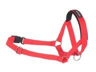 amiplay Halter Basic Bridle Golier S Red amiplay Halter Basic Bridle Golier S Red