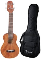 Sopránové ukulele Takamine GUS1 NAT s puzdrom