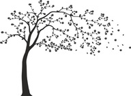 Fóliová nálepka na stenu Strom 361 120cm Fóliová nálepka na stenu Strom 361 120cm