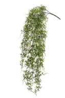 umelá papraď popínavá 80 cm popínavá papraď liana umelá papraď popínavá 80 cm popínavá papraď liana