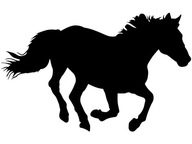 Nálepka na stenu HORSE, bežiaci kôň, 112 x 70 Nálepka na stenu HORSE, bežiaci kôň, 112 x 70