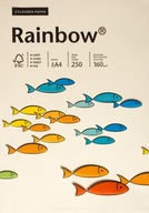 Hladký krémový papier 160g A4 Rainbow balík Hladký krémový papier 160g A4 Rainbow balík