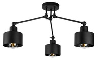 STROPNÉ SVIETIDLO, LOFT EDISON LED LUNTER