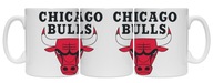 NBA CHICAGO BULLS g