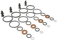 4x BOSCH TESNENIA Skrutka VSTREKOVAČ 1.9 TDI 1417010997 4x BOSCH TESNENIA Skrutka VSTREKOVAČ 1.9 TDI 1417010997
