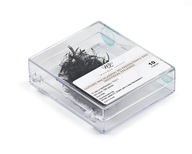 Hotové mihalnice FANS 10IN1 C0.10x9 Wonder Lashes Hotové mihalnice FANS 10IN1 C0.10x9 Wonder Lashes