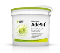 AdeSil 1 KG prírodná amorfná kremelina