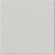 Netkané obrúsky 40X40 Svetlošedá PAW 50KS Netkané obrúsky 40X40 Svetlošedá PAW 50KS