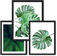 Sada 3 obrazov A3, plagátov, rám MONSTERA, ikea