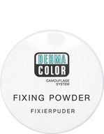 KRYOLAN FIXIERPUDER FIXAČNÝ PÚDER 20G FARBA PODĽA VÁŠHO VÝBERU KRYOLAN FIXIERPUDER FIXAČNÝ PÚDER 20G FARBA PODĽA VÁŠHO VÝBERU