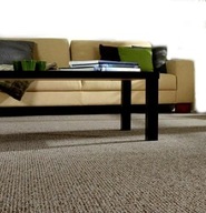 Odolný hustý koberec hnedý 100x150