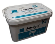 SANOLYTE 2KG ELEKTROLYTY PRE TEĽATÁ SANOLYTE 2KG ELEKTROLYTY PRE TEĽATÁ