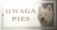 Znamenie - POZOR PES - West Highland Terrier