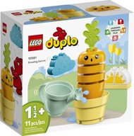 LEGO Duplo 10981 Pestovanie tehál z mrkvy