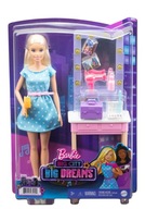 Barbie Big City GYG39 Big Dreams Malibu Mattel