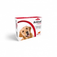 Antinol Sizarol Dog 120 kapsúl PRE KĹBY PSOV Antinol Sizarol Dog 120 kapsúl PRE KĹBY PSOV