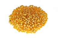 POPCORN KUKURIČNÉ ZRNÁ PRE POPCORN 22,68kg 50lbs POPCORN KUKURIČNÉ ZRNÁ PRE POPCORN 22,68kg 50lbs