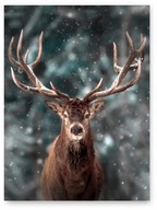 DEER WINTER plagát A2 59,4x42cm #4C DEER WINTER plagát A2 59,4x42cm #4C
