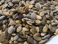 SEMIENKA TEKVICE POĽSKEJ 2 KG SEMIENKA TEKVICE POĽSKEJ 2 KG