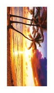 Plážová osuška 70x140 Bath Beach Palm Sunset Plážová osuška 70x140 Bath Beach Palm Sunset