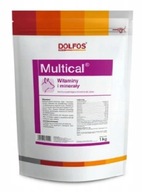DOLFOS MULTICAL 1KG POWDER vitamíny pre psov DOLFOS MULTICAL 1KG POWDER vitamíny pre psov