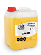 Granita sirup 5l ANANÁS, váha 6,7kg ANANÁS Granita sirup 5l ANANÁS, váha 6,7kg ANANÁS