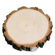 Suchý plátok dreva, leštený kotúč, 28-33 cm