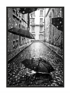 OBRAZOVÝ PLAGÁT V RÁME 53x73 cm Dáždniky P779 OBRAZOVÝ PLAGÁT V RÁME 53x73 cm Dáždniky P779